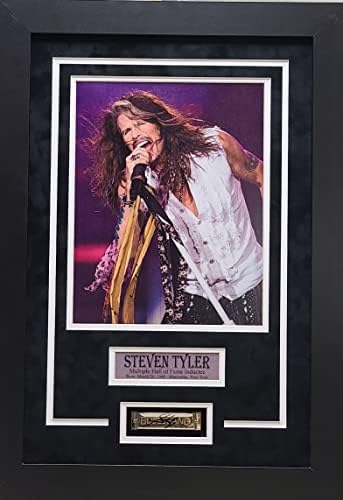 Steven Tyler Aerosmith potpisao je autogram harmonika sjene JSA certificiran