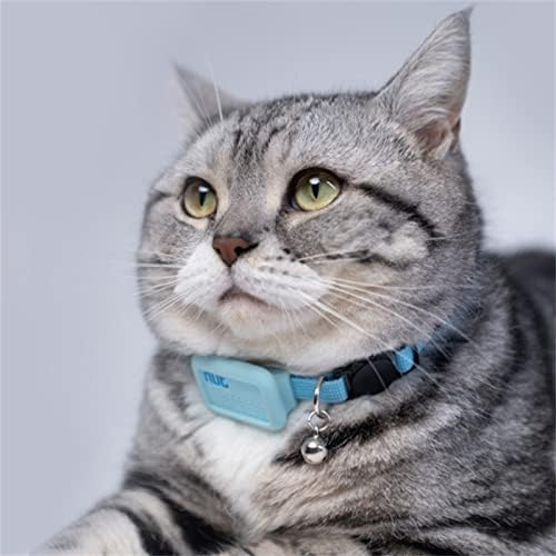 Bluetooth protiv ovlasti za ovratnik GPS-a za ovratnik za kućne ljubimce Cat Smart Pozicioniranje Lagane mačje dodatke