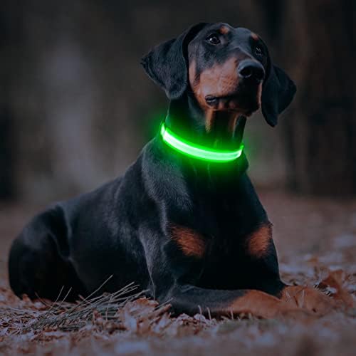 USB punjivi bljeskajući zasvijetliti ogrlice za pse - svijetli u tamnim ogrlicama za kućne ljubimce, svijetli reflektivni