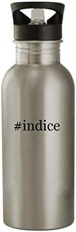 Knick Knack pokloni Indice - boca vode od nehrđajućeg čelika od 20oz, srebrna