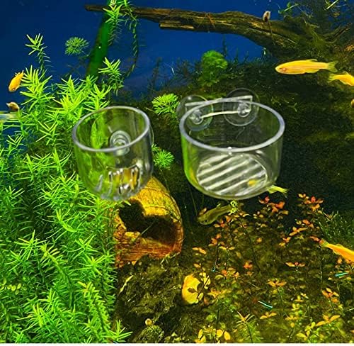 6pcs posuda za akvarijske biljke stakleni držač za akvarijske biljke posuda za akvarij šalica za ukrašavanje akvarija s usisnim