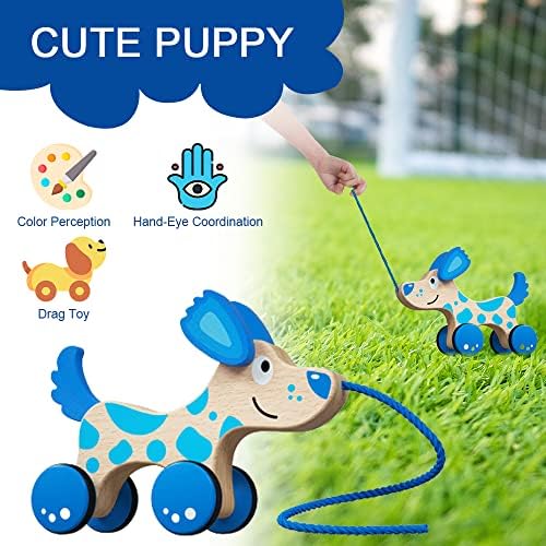 Drveni potez za pse Toy Wood Walk Povucite igračku s igračkama Montessori Toddler Pull Toys za hodanje mališana