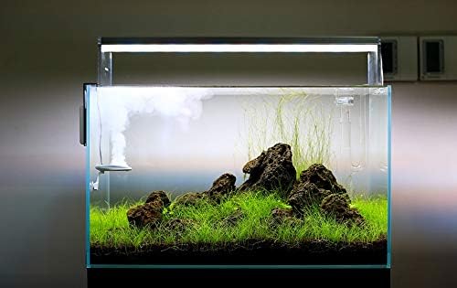 Akvarijski akvarij od 600 inča za ribe od 60 cm