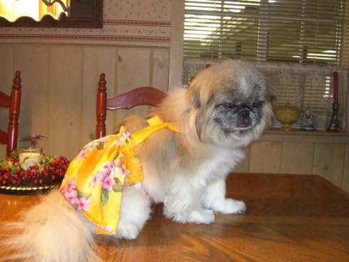 Joybies Sunčana žuta suknja Aloha piddle za srednjeg ženskog psa