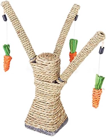 Mačka ogrebotina stabala koja igra konop s mrkvom penjajući se igračke za mačiće za ogrebotine za kućne ljubimce