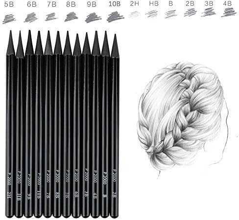 EVNeed set olovke bez drveta, 12 PC-a bez drva grafit i skiciranje ugljena za crtanje, pisanje, sjenčanje, u boji crne set