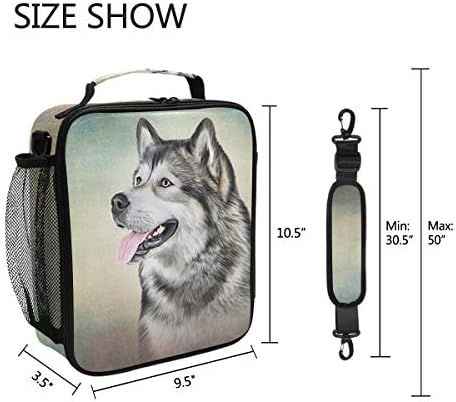 Prijenosna kutija za ručak izolirana hladnjača torba za ručak za djecu tinejdžeri odrasli crtanje psa Aljaški Malamut torba