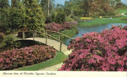 Gardens Cypress, na Floridi razglednice